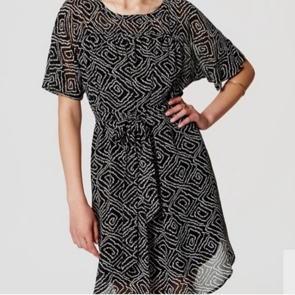 LOFT Black and White Belted Shift Dress